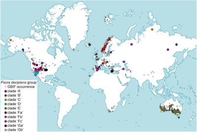 Multiple, Distinct Intercontinental Lineages but Isolation of Australian Populations in a Cosmopolitan Lichen-Forming Fungal Taxon, Psora decipiens (Psoraceae, Ascomycota)